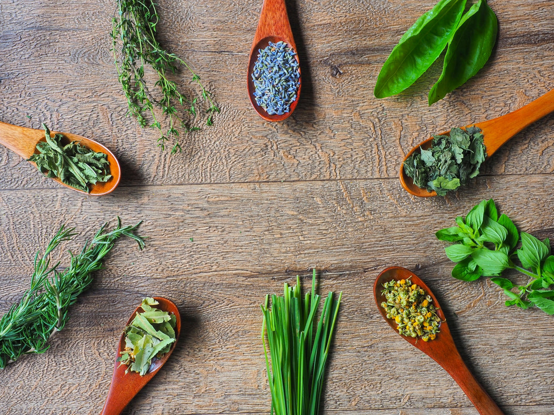 ハーブティーの旅：自然からの贈り物